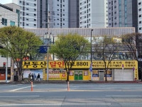 달인세무사공인중개사사무소 | 부동산달인공인중개사사무소