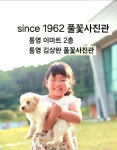풀꽃사진관 아이뽀또