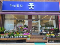고은하늘꽃방 | 하늘꽃집