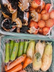 토정대가;축산물판매장 | 축산물시장판매점