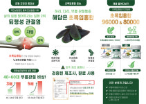 호주면세점직영할인점대신지점 | 호주뉴질랜드면세점직영할인점 포항양학점