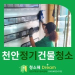 해드림올크린 | 청소해드림