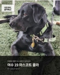여수19
