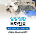 류인광동물병원 | 지중해동물병원