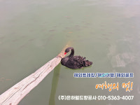은하월드항공사주 | 은하월드항공