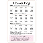 꽃개♡미니크라운 | 꽃개 애견미용 강아지미용