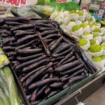 에브리데이진로식자재마트거북섬점 | 진로식자재마트