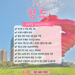 화안베스트투어 | 베스트투어 여행사