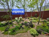 송유산림조경 | 송림조경