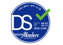 디에스시스템
