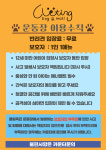 클팅독앤몰