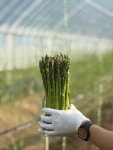 여주옥촌농원 | 여주그린농원