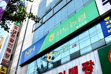 지도농협 행주사업소 | 지도농협 행주지점