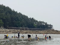 득량만어촌체험펜션 | 송석해의어촌체험마을펜션