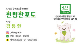 백쌤네포도농장 | 현명한포도_샤인머스켓농장