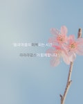 주식회사 마더네이처원 | 마더 네이처 라라라맘스