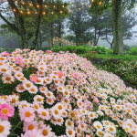 카페글렌송도센트 | 카페 글렌코