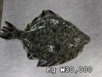 가우도수산무안로컬푸드점 | 오회뜬수산 조천로컬푸드점