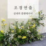 라보일베르떼LVV | 라보일베르떼