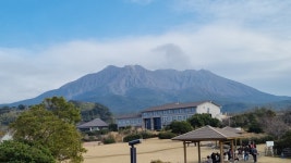 세종투어