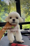 스파그루SpaGroo | 스파그루