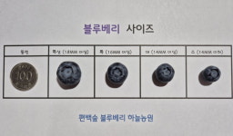 편백숲 하늘농원