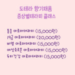 솔향도테라공방 | 도테라 헤드스파 앤 공방