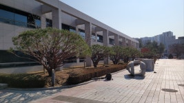 삼청나무병원앤조경 | 우리조경나무병원