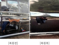 차go치goMotorS | 차를고치는사람들