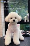 스파그루SpaGroo | 스파그루