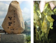 제이에스에스유통 | 제이에스유통