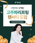필엔필전주점 | 필의원