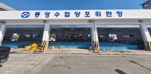 통영수협 당포위판장