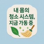 오혜숙생활단식 파주운정지사