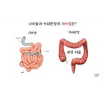 오혜숙생활단식 파주운정지사