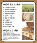 명동본가닭갈비