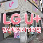 미쁨양산동지점 | LG유플러스 양산동 택지사거리점
