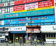 하스영어교습소 | 하스영어학원
