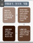 루시아뷰티랩 | 루시아뷰티