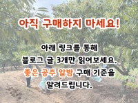 로이드밤협동조합 | 공주친환경밤 협동조합