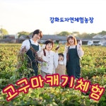 강화도자연체험농장
