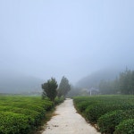 선다원 그린힐
