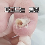 레푸스 동탄 호수점