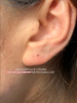 디나인