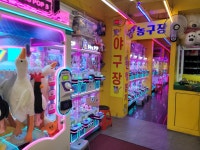 야구사격장