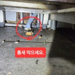 무지개방역/바퀴벌레콜센터 | 티에이치케어 바퀴벌레 해충방제 방역소독