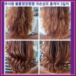 큐사랑남원죽항점 | 큐사랑 남원죽항점