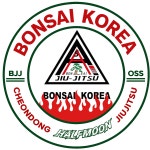 본사이천동하프문주짓수 | 본사이코리아 천동하프문주짓수