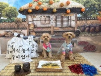 퍼피스랜드지점 | 퍼피스