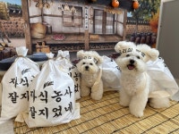 퍼피스랜드지점 | 퍼피스